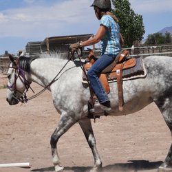C Horse Ranch - Tuning up or starting your horse.