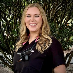 Flowertown Dentistry