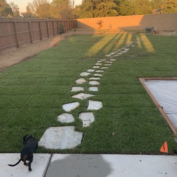 Picture Perfect Lawn - Backyard - Landscaping Near Me - Fresno, California Picture Perfect Lawn - Backyard - Landscaping Near Me - Fresno, California
