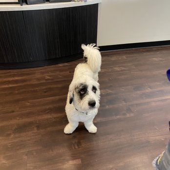 Braselton Urgent Care - Puppy Greeting! - Urgent Care Near Me - Braselton, Georgia