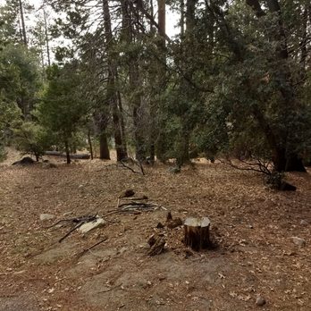 Idyllwild Vacation Cabins - Vacation Rental Agents Near Me - Idyllwild, California Idyllwild Vacation Cabins - Vacation Rental Agents Near Me - Idyllwild, California