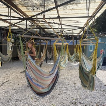 Bubble Jungle Beer Garden - Hammocks - Beer Bar Near Me - Kemah, Texas Bubble Jungle Beer Garden - Hammocks - Beer Bar Near Me - Kemah, Texas