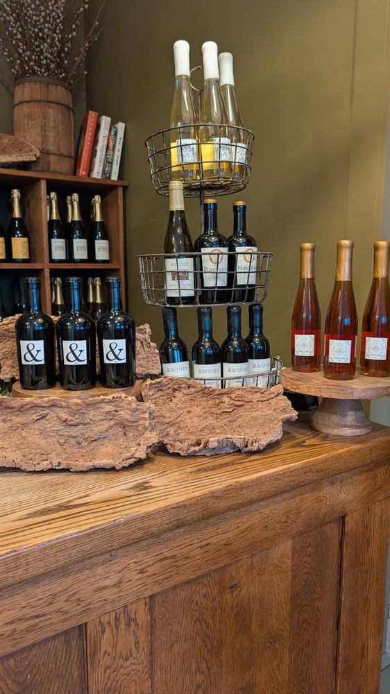 Agricolae Estate Winery - vineyard in Hammondsport, NY