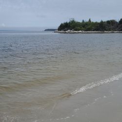 Carter's Beach