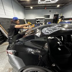 Pro Auto Tints