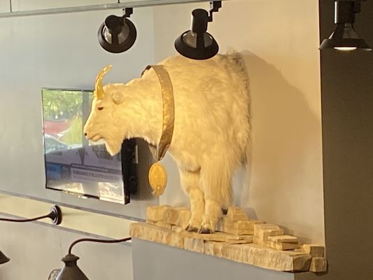 Gilded Goat Brewing Company by null