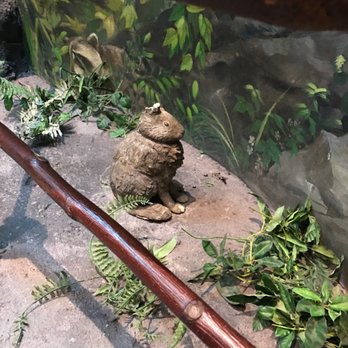 Seattle Children's Museum - Children's Museums Near Me - Seattle, Washington Seattle Children's Museum - Children's Museums Near Me - Seattle, Washington