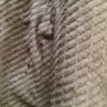 Advanced Pest Control 24/7 - Pest Control Near Me - Jessup, Pennsylvania