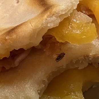 Crepeaway - An insect in my crepe - Creperies Near Me - Washington, DC, District of Columbia