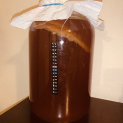 Buddha Brewing