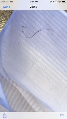 Kerby's Koney Island by null