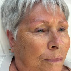 Brow Theory Pro - Microbladed brows