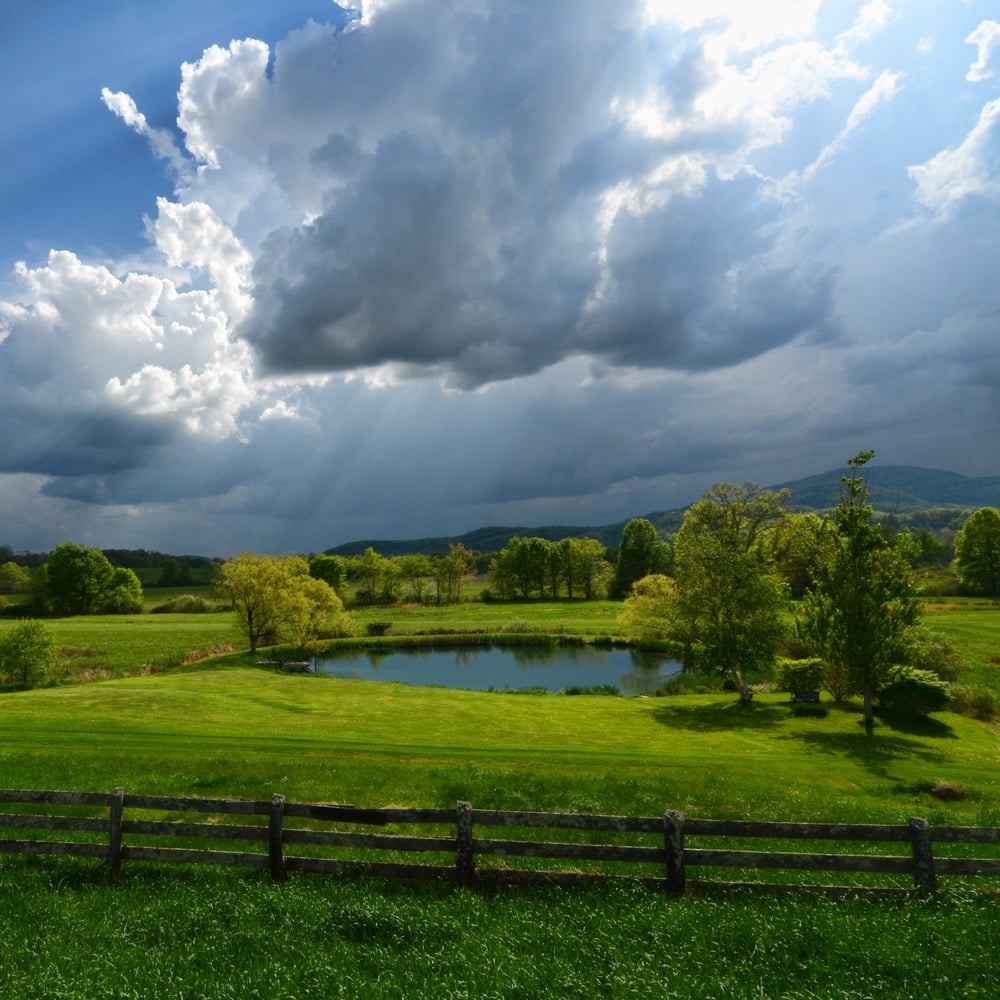 CAMERA ONE PHOTOGRAPHY BY PAMELA R WITHROW Updated September 2024