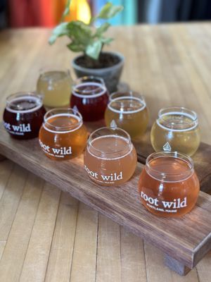 Root Wild Kombucha by null