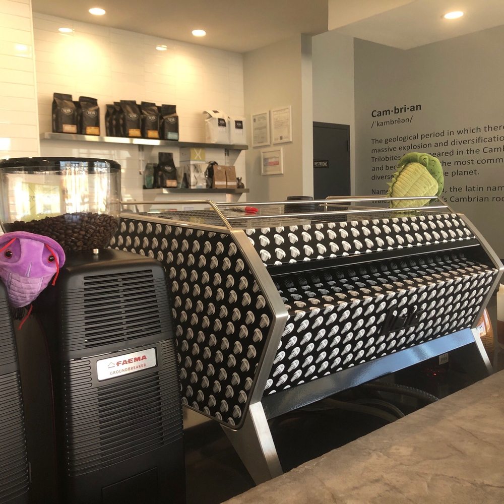 Cambrian Coffee - Coffee & Tea Near Me - Houston, Texas Cambrian Coffee - Coffee & Tea Near Me - Houston, Texas