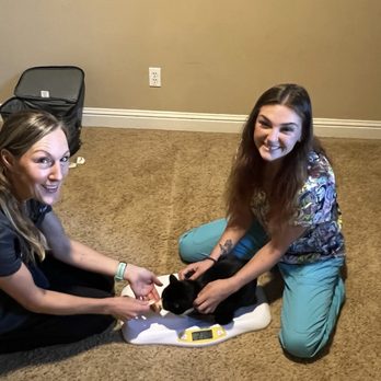 Zoomies Mobile Vet Care - Veterinarians Near Me Zoomies Mobile Vet Care - Veterinarians Near Me