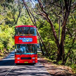 Blue Mountain Explorer Bus