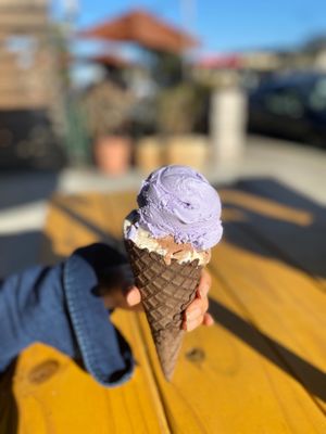 The Craft Creamery by null