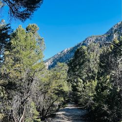 Robbers Roost Trail - May 2023