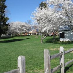 Beautiful wedding venue: Merchant Park