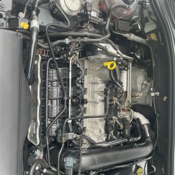 Detail Doctor - Engine cleaned after bad rodent damage - Auto Detailing Near Me - Chicago, Illinois Detail Doctor - Engine cleaned after bad rodent damage - Auto Detailing Near Me - Chicago, Illinois
