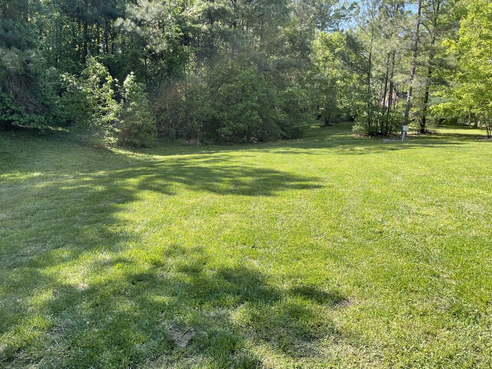 The Yard Crew - tree service in Liberty, NC