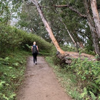 Waihee Ridge Trail - Some flat trails in between the steep, slippery ones - Hiking Near Me - Wailuku, Hawaii