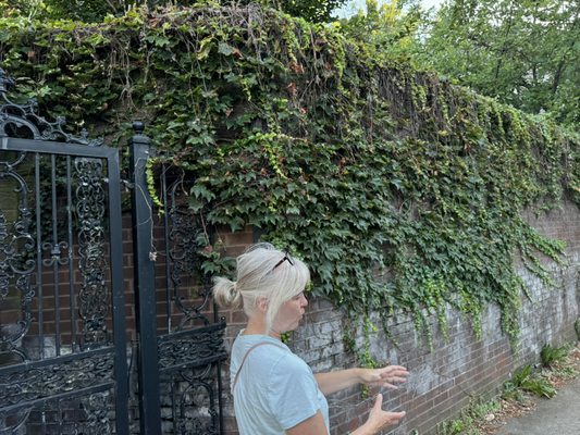 Louisville Historic Tours by null