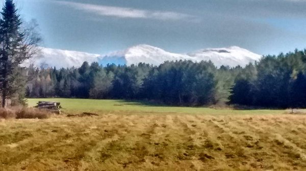 Presidential View Farm by null