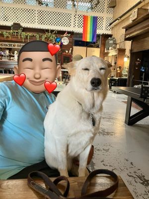 Mount Shasta Brewing Company by null