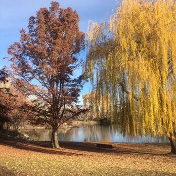 Julia Davis Park - Those trees - Parks Near Me - Boise, Idaho