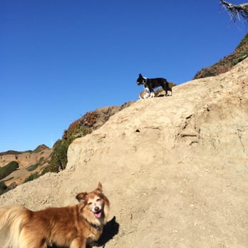 West Wind Pet Care - Dog Walkers Near Me West Wind Pet Care - Dog Walkers Near Me