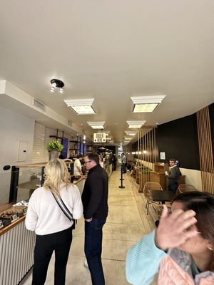 Modern Bread and Bagel by null