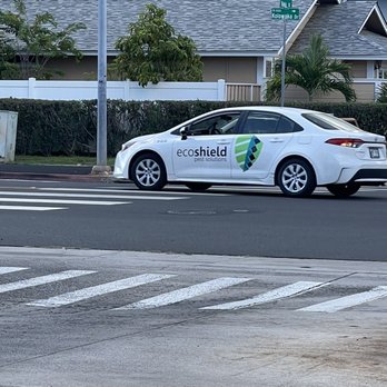 EcoShield Pest Solutions - Pest Control Near Me - Kailua, Hawaii