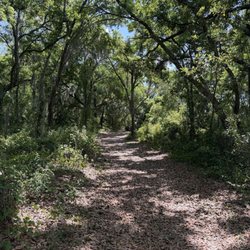 Lake Rogers Park - Path with shade