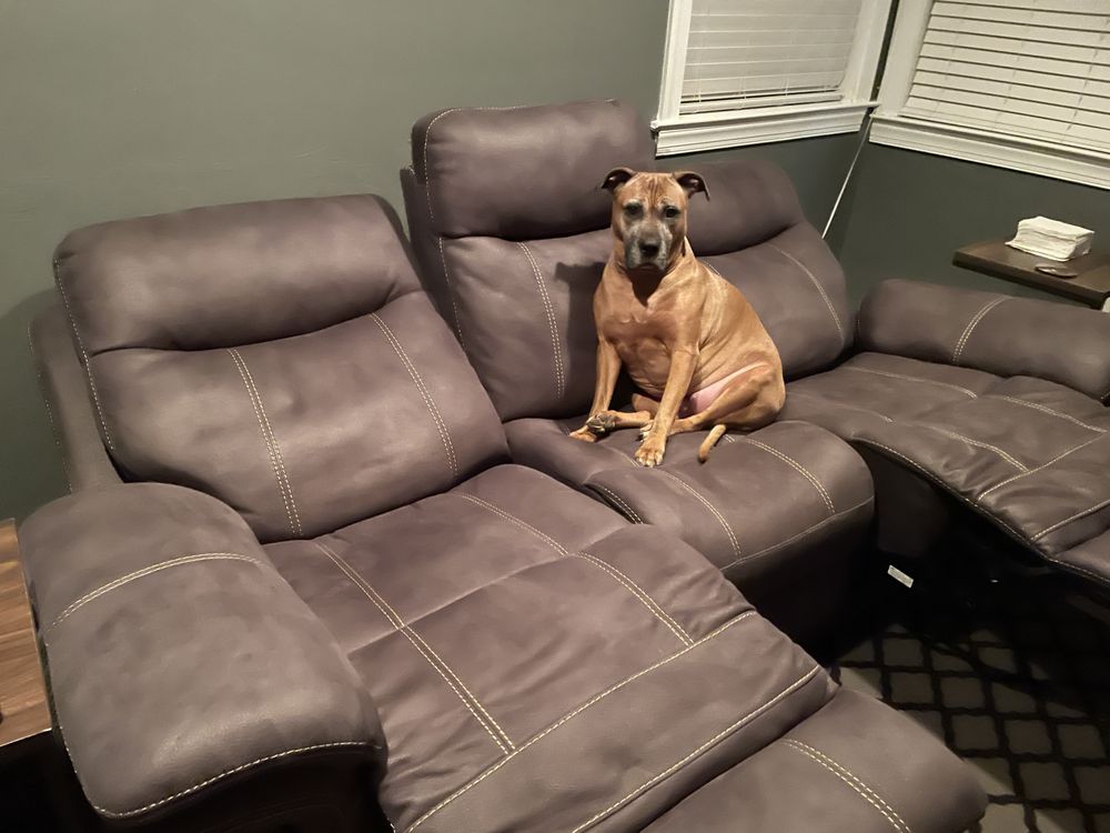 The Sofa Store