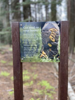 Tharp's Log by null