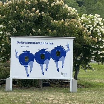 DeGrandchamp Blueberry Farm - Pick Your Own Farms Near Me - South Haven, Michigan DeGrandchamp Blueberry Farm - Pick Your Own Farms Near Me - South Haven, Michigan