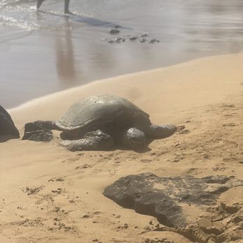 Poipu Beach - Beaches Near Me - Koloa, Hawaii