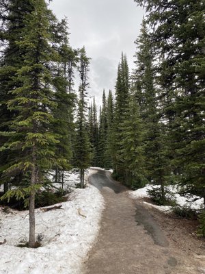 Peyto Lake by null