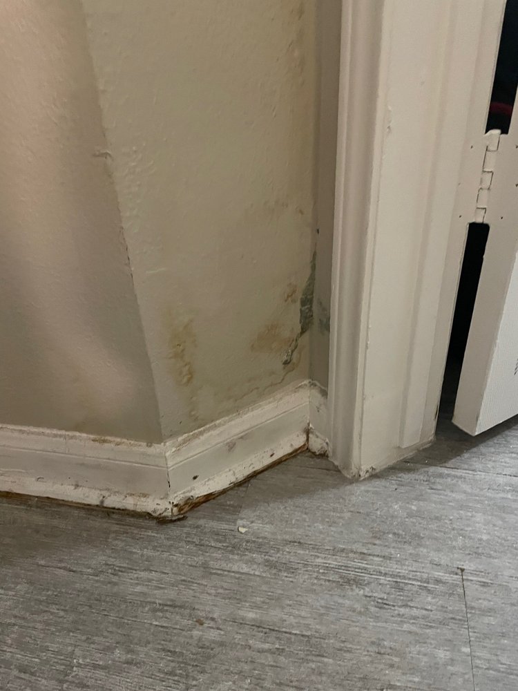 HAVOC Consulting Services - mold inspector in Katy, TX