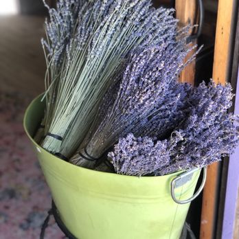 Clairmont Lavender Farm - Farms Near Me - Los Olivos, California Clairmont Lavender Farm - Farms Near Me - Los Olivos, California
