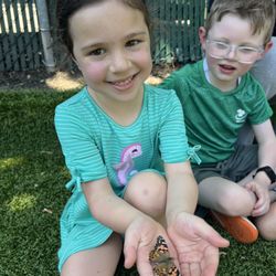 Bell's Little Learners