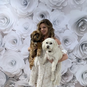 Floral Sensations - Photo backdrop provided by Floral Sensations - Florists Near Me - Riverside, California Floral Sensations - Photo backdrop provided by Floral Sensations - Florists Near Me - Riverside, California