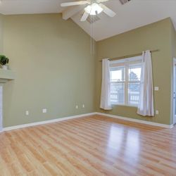 The plant on the mantle, on the right is cut off.
