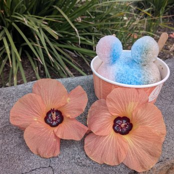 Pāpālua Shave Ice - Ice Cream & Frozen Yogurt Near Me - Kapolei, Hawaii Pāpālua Shave Ice - Ice Cream & Frozen Yogurt Near Me - Kapolei, Hawaii