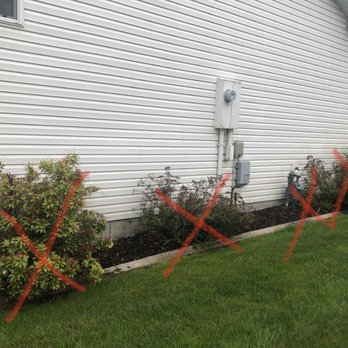 Pacific Lawn & Pest - Side removals - Pest Control Near Me - Spokane Valley, Washington Pacific Lawn & Pest - Side removals - Pest Control Near Me - Spokane Valley, Washington