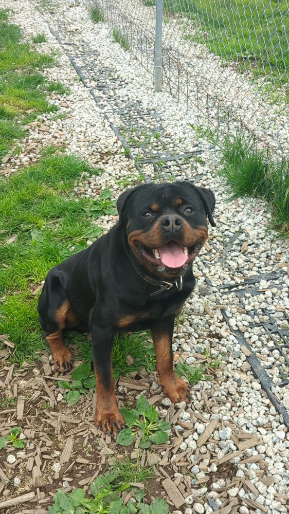 ARGOS PET RANCH Updated August 2024 18030 32 Avenue, Surrey