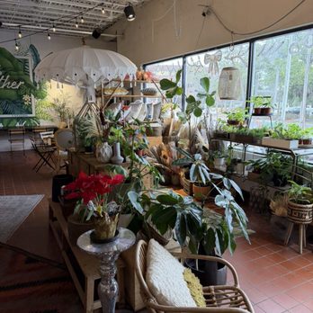 Black Phin - Coffee & Tea Near Me - Winter Park, Florida Black Phin - Coffee & Tea Near Me - Winter Park, Florida