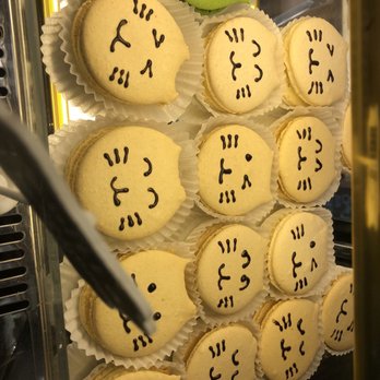 Seattle Meowtropolitan - Themed Cafes Near Me - Seattle, Washington Seattle Meowtropolitan - Themed Cafes Near Me - Seattle, Washington